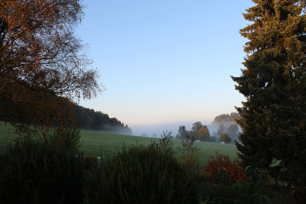 Außenimpressionen 1