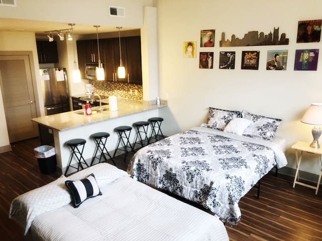 Nash Loft Downtown! FREE PARKING!
