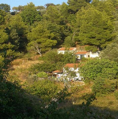 Cottage in wildness of island
