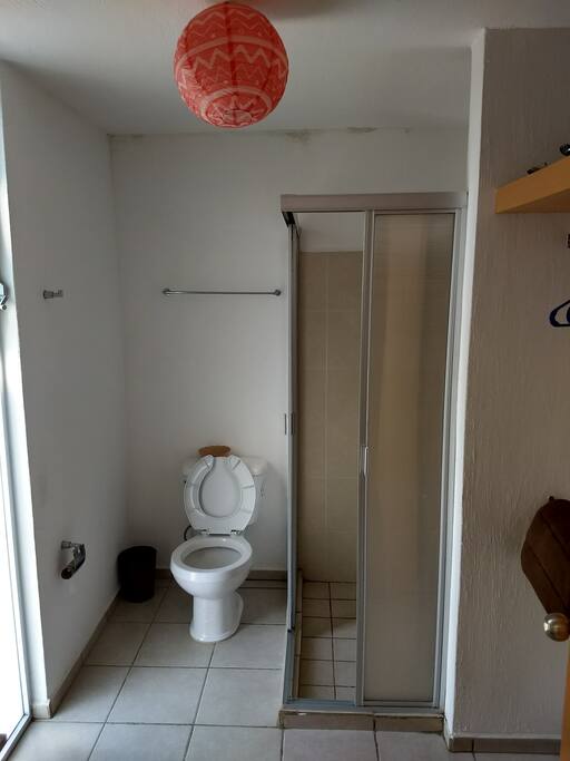 Baño vestidor recamara principal