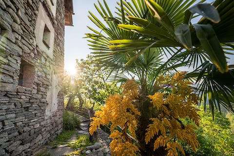 Nature, Mountain & Lake Retreat Home