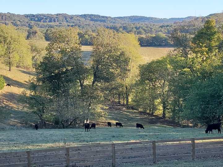 Pulaski Holiday Rentals & Homes Tennessee, United States Airbnb