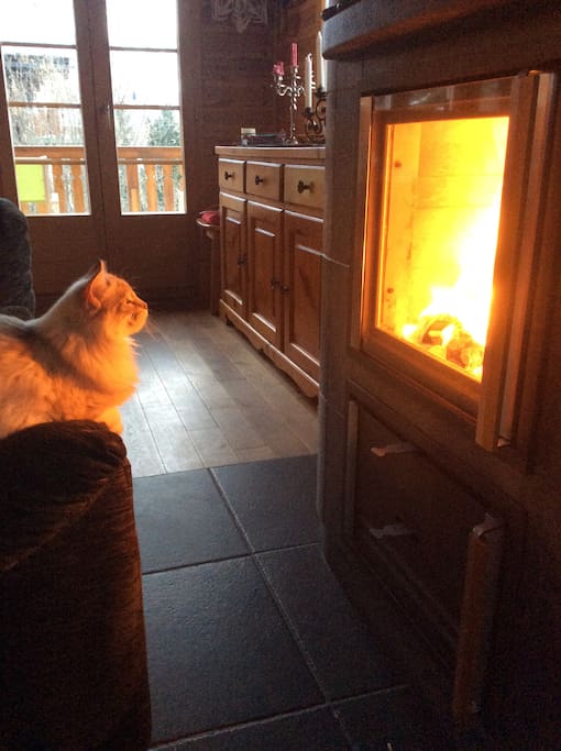 The pleasure of a Finnish stove