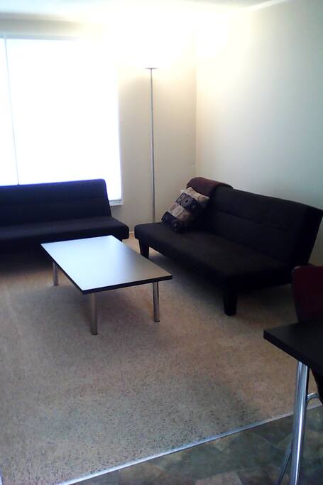 Living room with 2 sofa sleepers