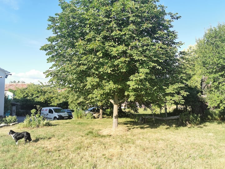Rural Idyll,away From All Problems - Pazin