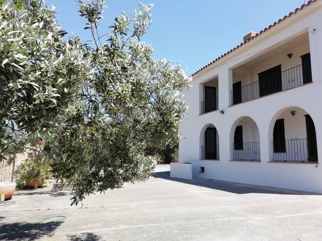 Apartamento Rutlla 2 Hostal la Fosca - Apartamentos en alquiler en ...