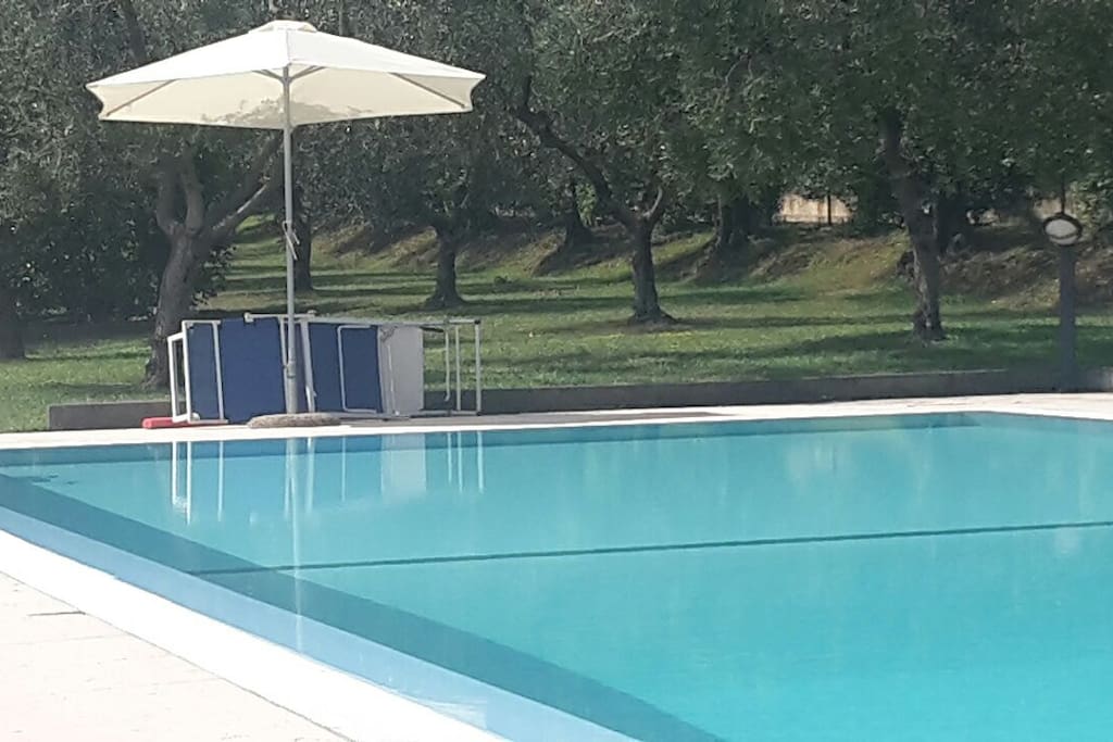 piscina 18x10 e giardino.con ulivi