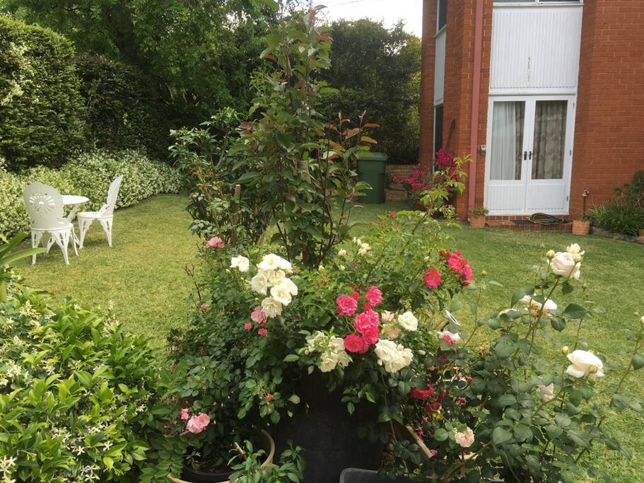 Beautiful front garden and private entrance