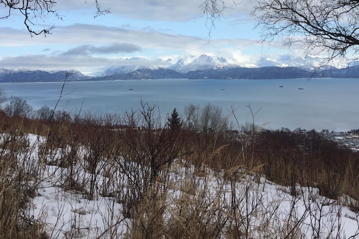 Bear Creek Cabin Cabins For Rent In Homer Alaska United States