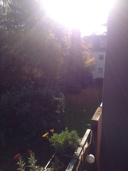 Blick vom Balkon