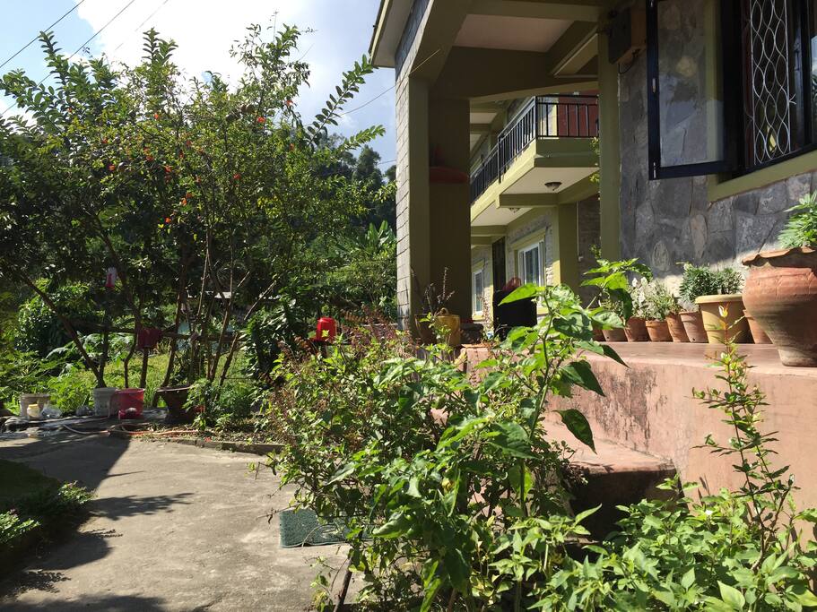 The ground floor of our home