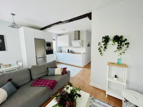 Apartment facing the Vizcaya Bridge, Bilbao