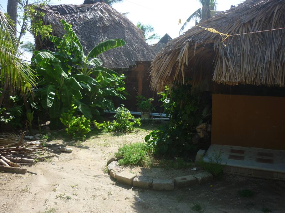 Jardín interior