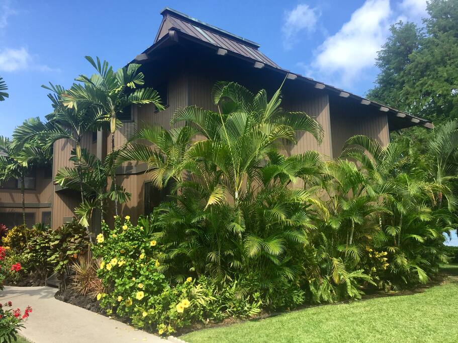 Kona Onenalo #3