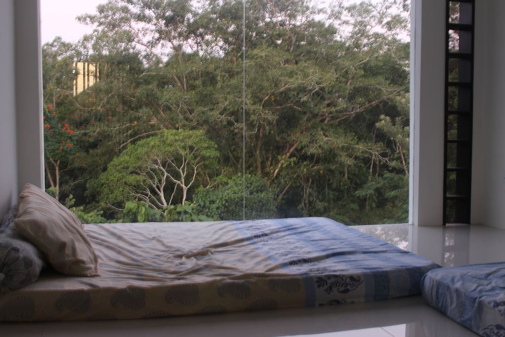 kamar tidur menghadap hutan