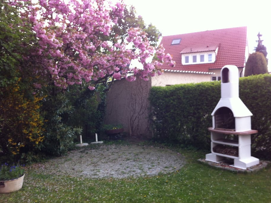 Hinterhof/Garten