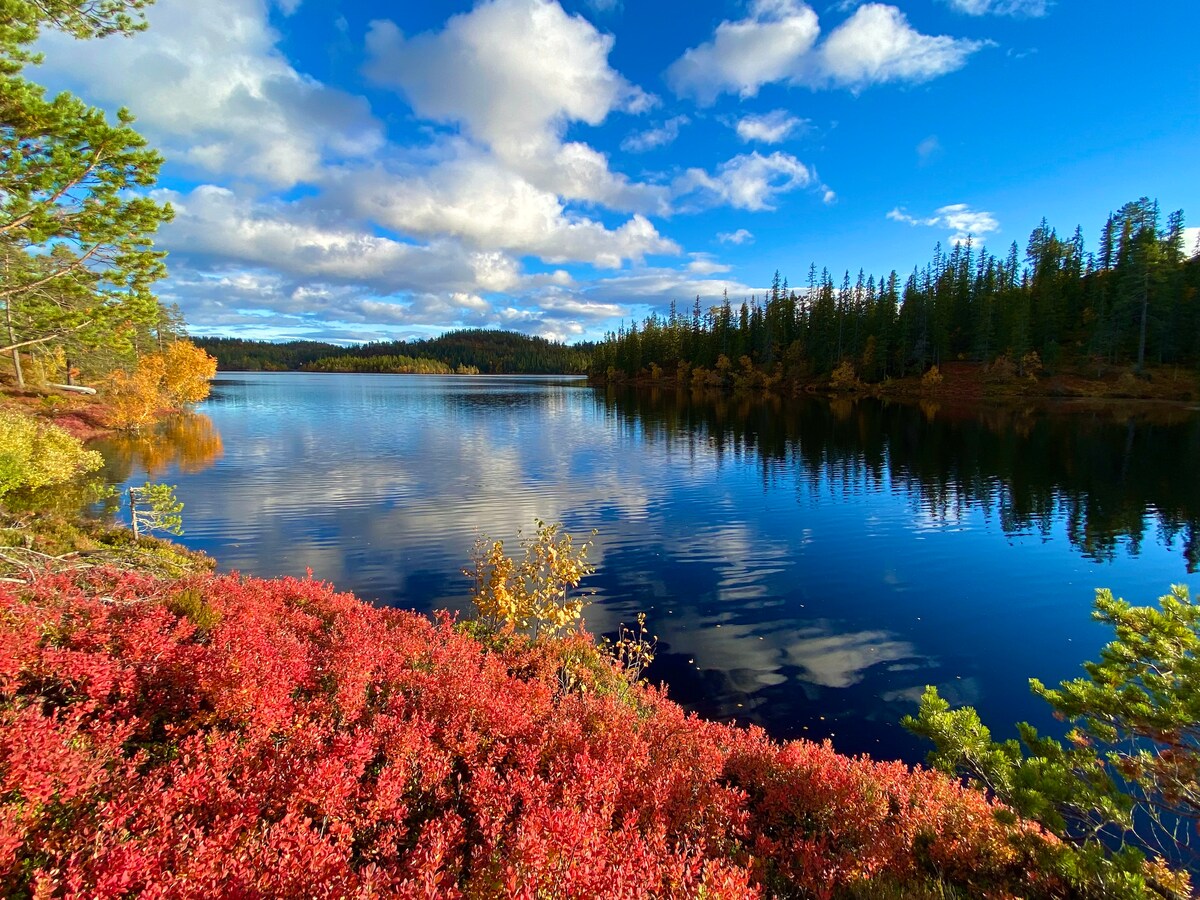 A serene lake is surrounded by vibrant foliage in shades of red and gold. Above, a clear blue sky is dotted with fluffy white clouds, reflecting on the water's surface. Pine trees line the opposite shore, completing the tranquil landscape.