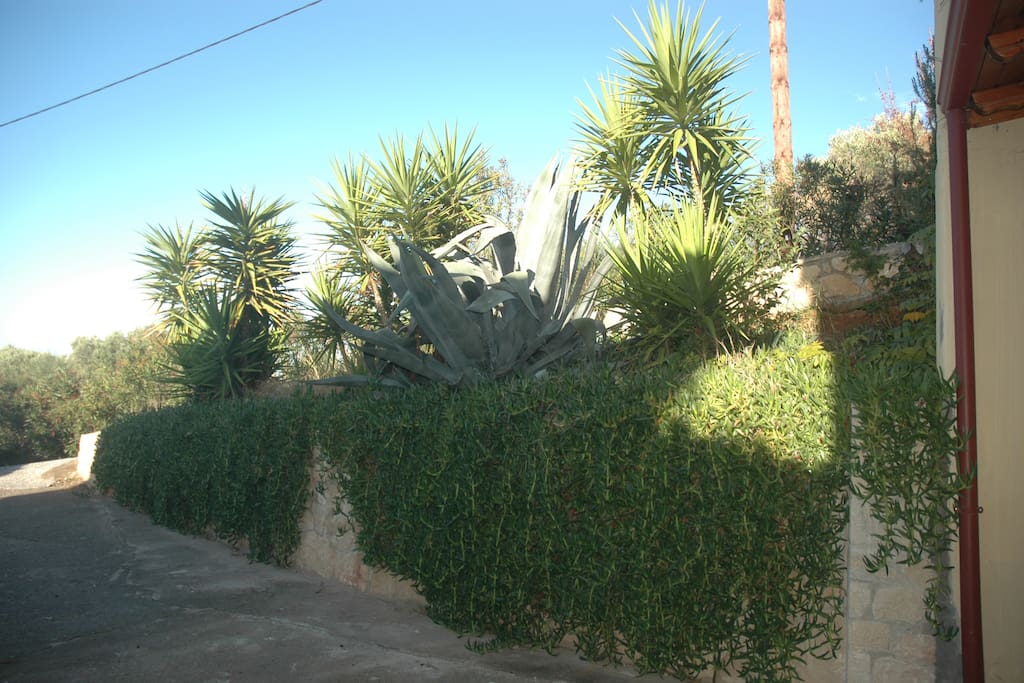 parking entrance