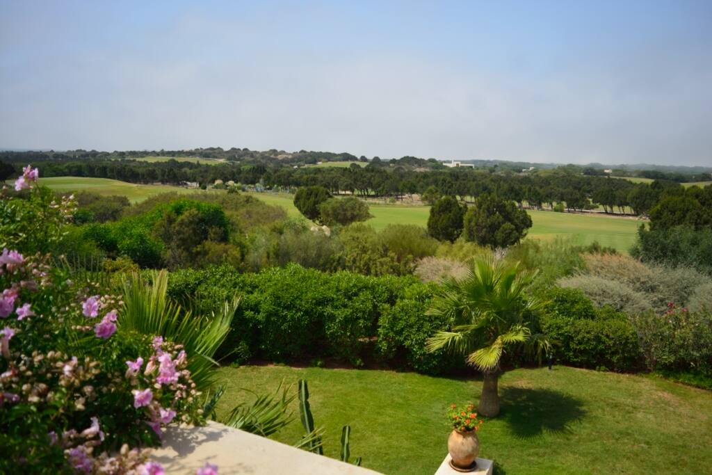 la vue depuis la terasse panormique