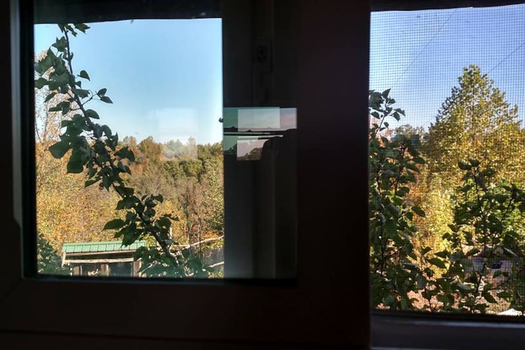 View from bedroom window.
