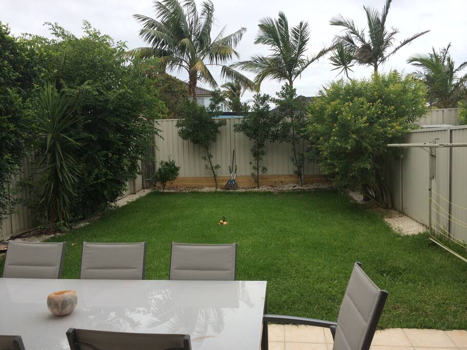 Patio & backyard area