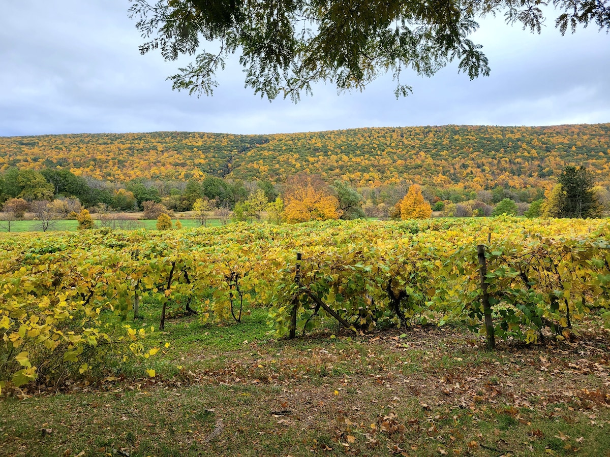 A scenic view of a vineyard features rows of grapevines with yellowing leaves, set against a backdrop of rolling hills adorned in autumn colors. The landscape is framed by a mix of greenery and fallen leaves, reflecting the seasonal changes.