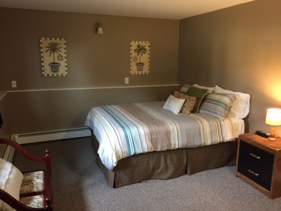 Downstairs Bedroom