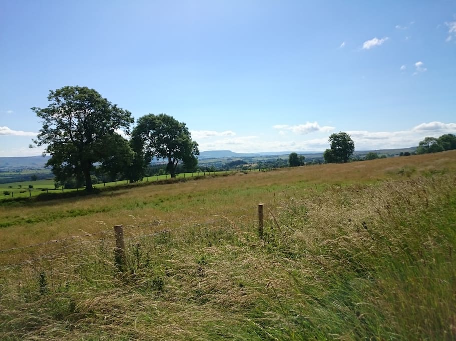 View towards The Yorkshire Dales, 5 mins drive from apartment