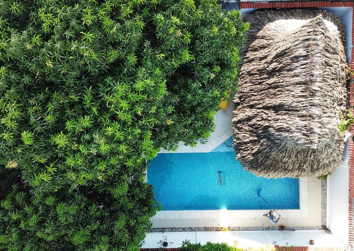 An aerial view captures a serene pool surrounded by lush greenery, highlighted by a large mango tree. A thatched-roof gazebo is positioned near the pool, creating a relaxed atmosphere. The pool's clear water invites leisure and refreshing moments in this tranquil garden setting.