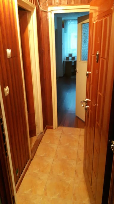 there is a small hallway at the entrance where the fridge is located
