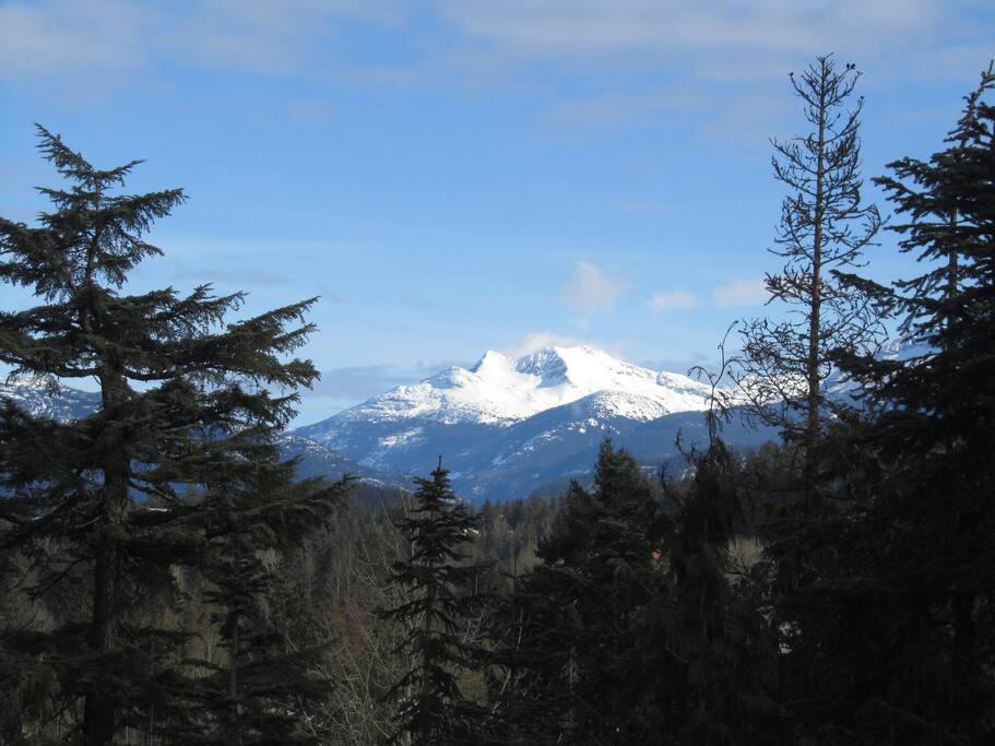 Summer view from BBQ Deck