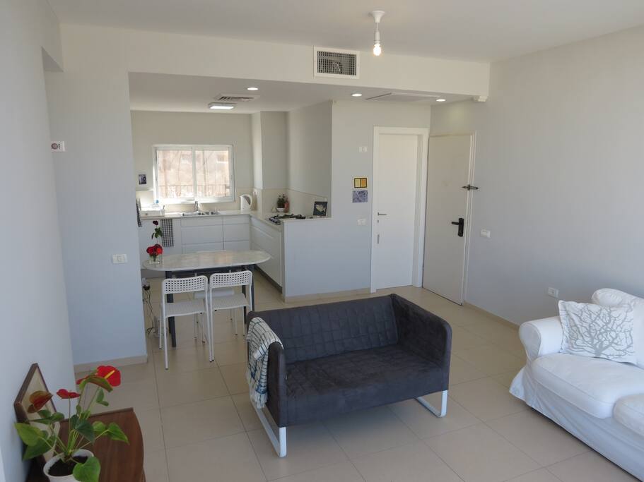 Open Space Living Room and Kitchen