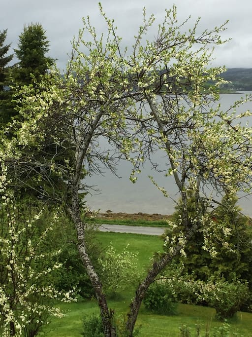 Hagen