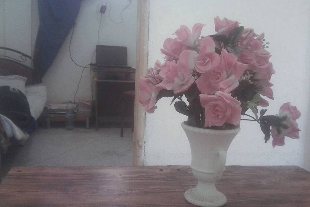 the Center of the house