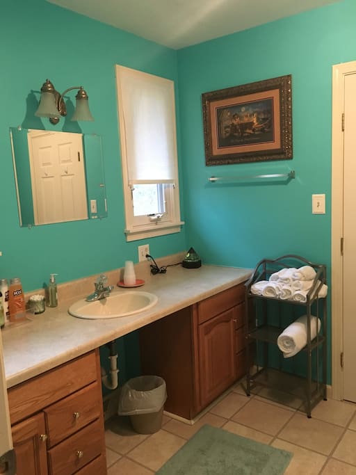 Sink with lots of counter space