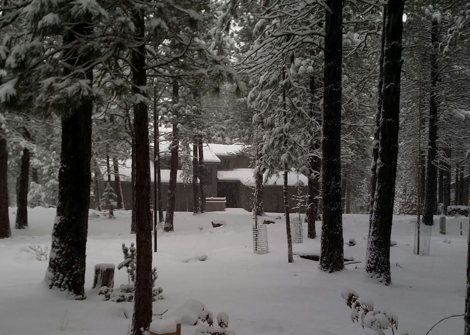 Winter at GM 84