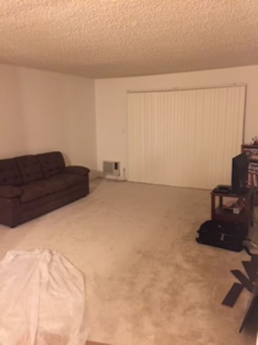 The living room is really spacious! Standard couch too!
