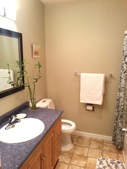 FUll bathroom