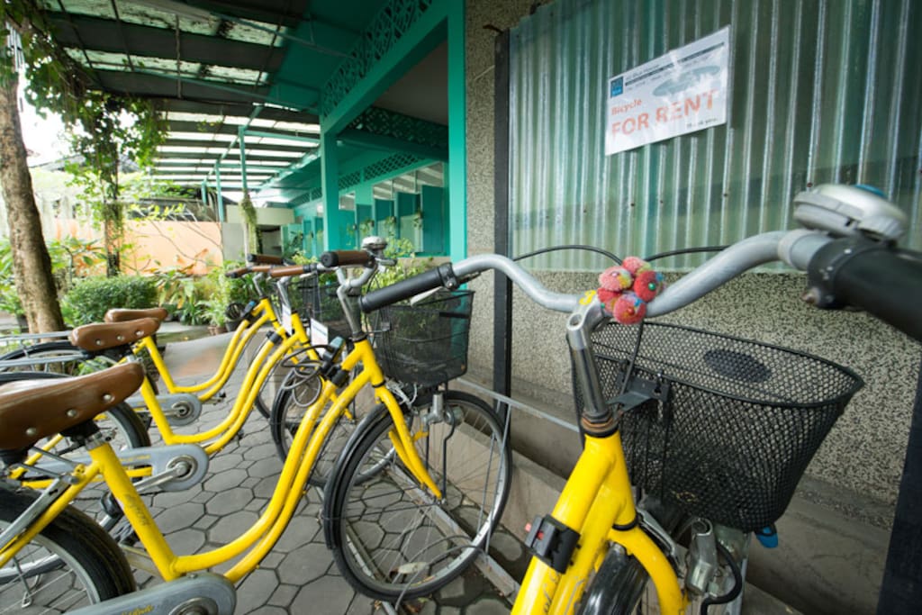 Rental bicycles