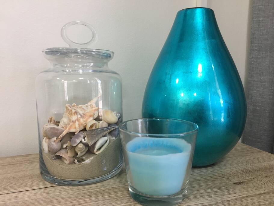 Sand & Shells