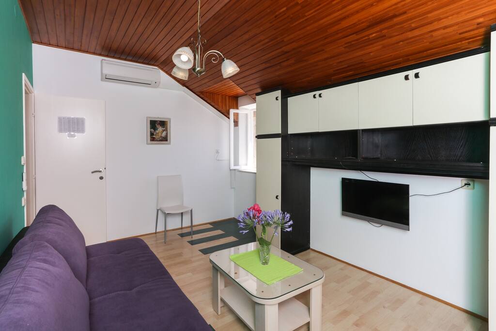 Living room with sofa bed