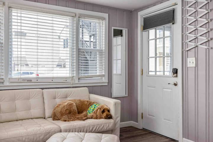 Plum Place- Dog Friendly Cottage Steps From Beach! - 埃克塞特