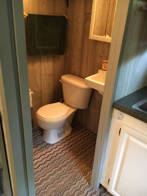 Bathroom (toilet/sink/shower)