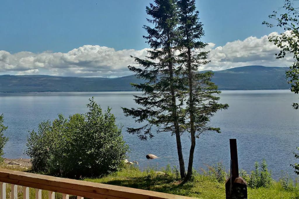 Rooms For Rent In Pasadena Nl Rooms For Rent In Pasadena Nl