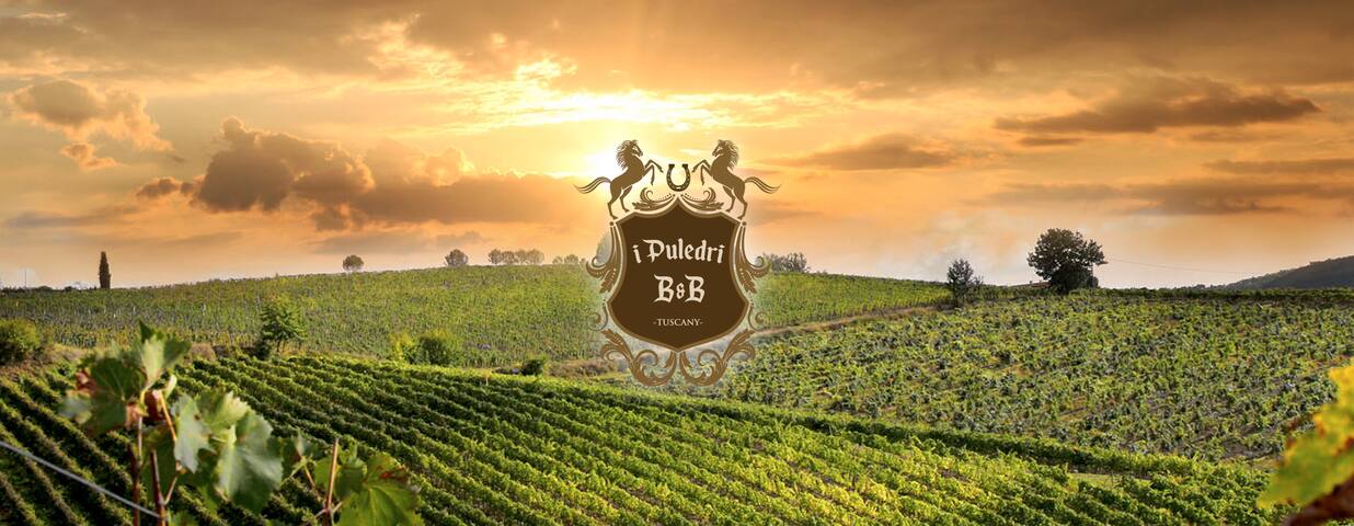 I Puledri B&B Tuscany