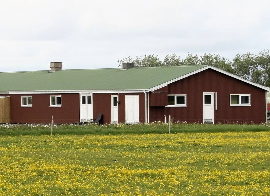 Guesthouse in summer