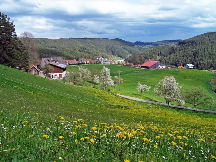Panoramablick auf unseren Hof.