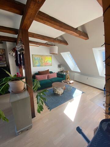 3 floor Penthouse in CPH most hyped area (1650 SF) gallery image 5