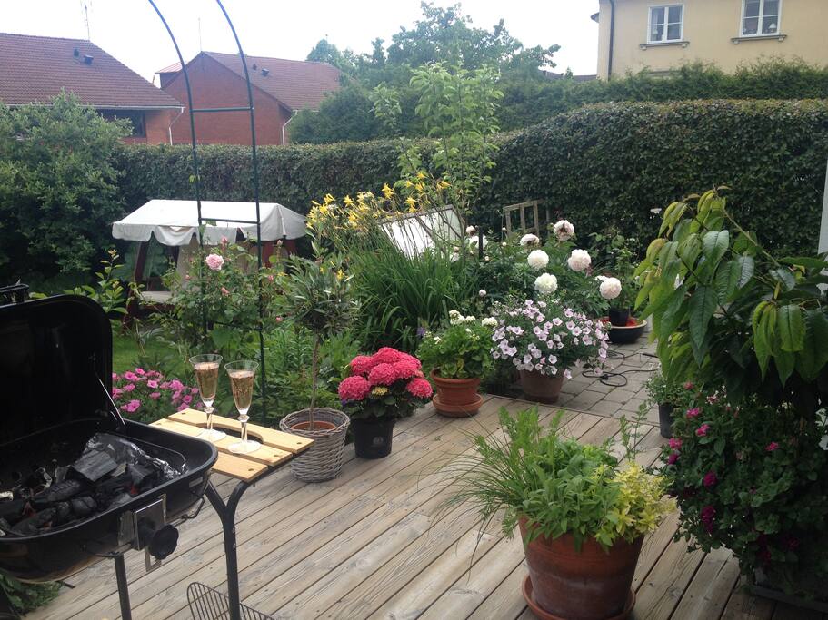 Vårbild från trädgården.