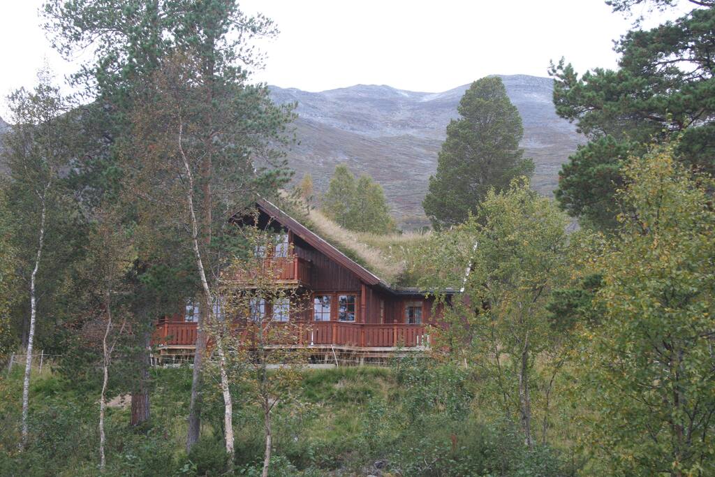 Omkranset av fjell